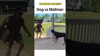 Dogs being idiots part 340 😂| Funny dogs compilation #funnydog #funnypet #cutedog #dog #dogsworld