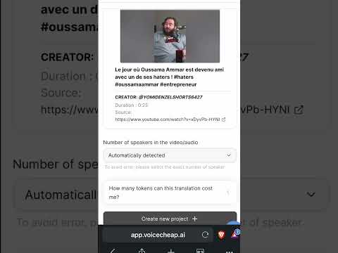 Simple 4 Step Process To Translate Videos 