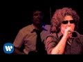 Andrés Calamaro & Fito & Fitipaldis - El salmón (2 son Multitud)