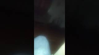 My Lil Sis Out Of Line