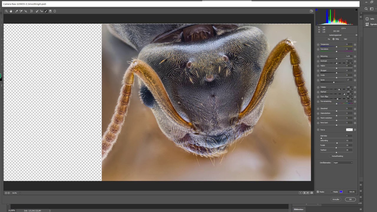 How to fix extreme macro images