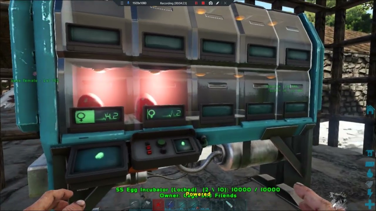 Breeding the good rex