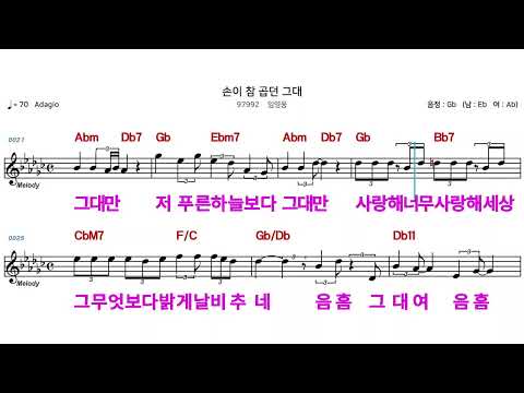 (MR) 손이참곱던그대  - 임영웅