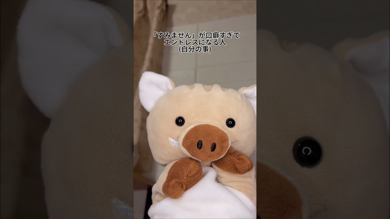 謝り癖がある人あるある(特に自分) #ぬいぐるみ #ネタ #fypシ