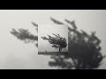 Grouper Poison Tree Super Slowed 