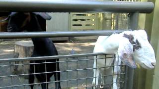 CIMG0645.AVI