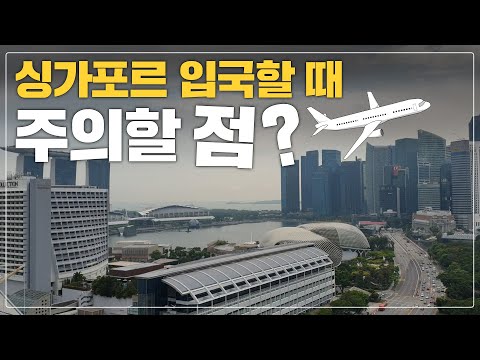 싱가폴 출국 과정 브이로그 인천에서 창이공항까지 입국 시 주의할점은 