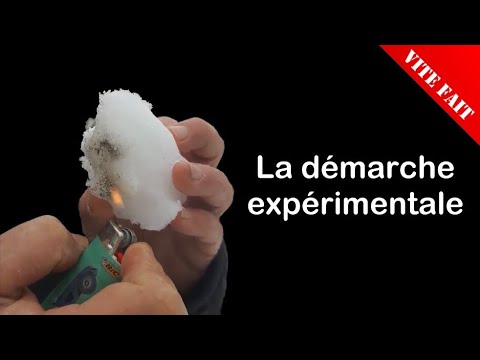 La démarche expérimentale