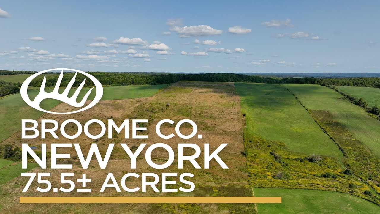 Broome County, NY 75.5± Acres