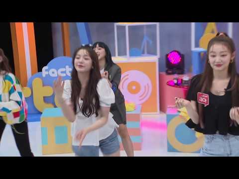 [직캠] SECRET NUMBER cover TWICE CHUNGHA