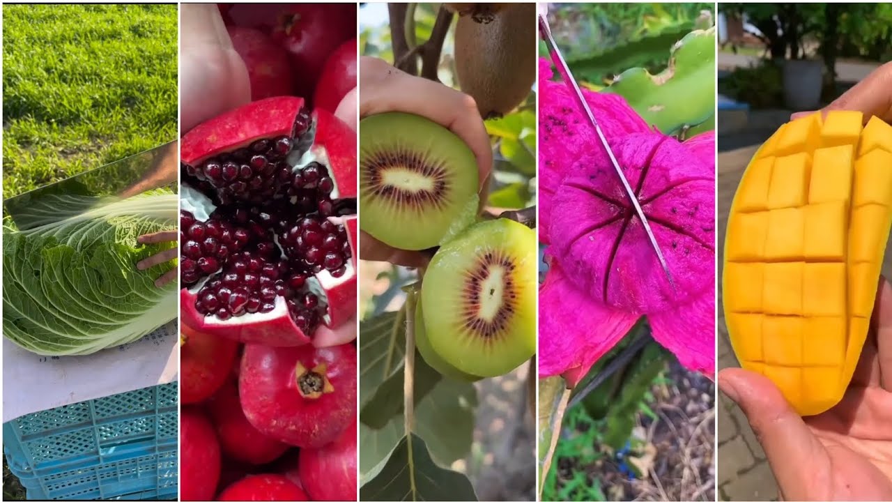 Satisfying Fruit cutting ASMR 🍑 ll relax your mind