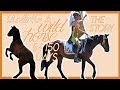 Taming a wild horse in 150 days  our story  the complete journey