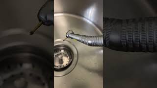 IMG 4584 1