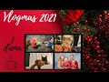 VLOGMAS//PIRMA DIENA //ŠEIMOS PAGAUSĖJIMAS