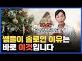 솔로인 이유는 분명히 존재합니다.