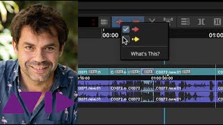Avid Tutorial 14: Smart Tools Red Arrow / Yellow Arrow Guide