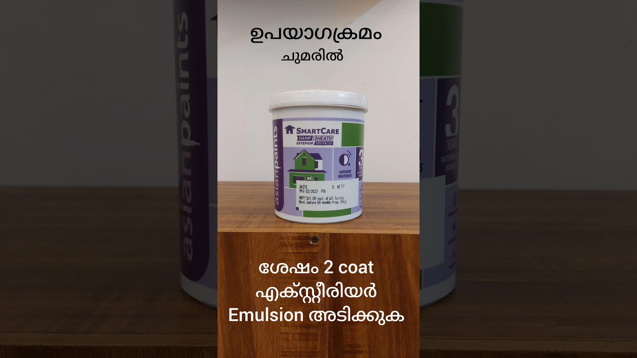 damp sheath exterior. waterproofing.asian paints