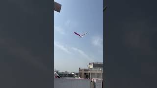 Pigeon🕊️Landing #kabutar #pigeon #birds #rabbit #tigerpigeon #kabutarbazi #pets #petsvlog#vlogs