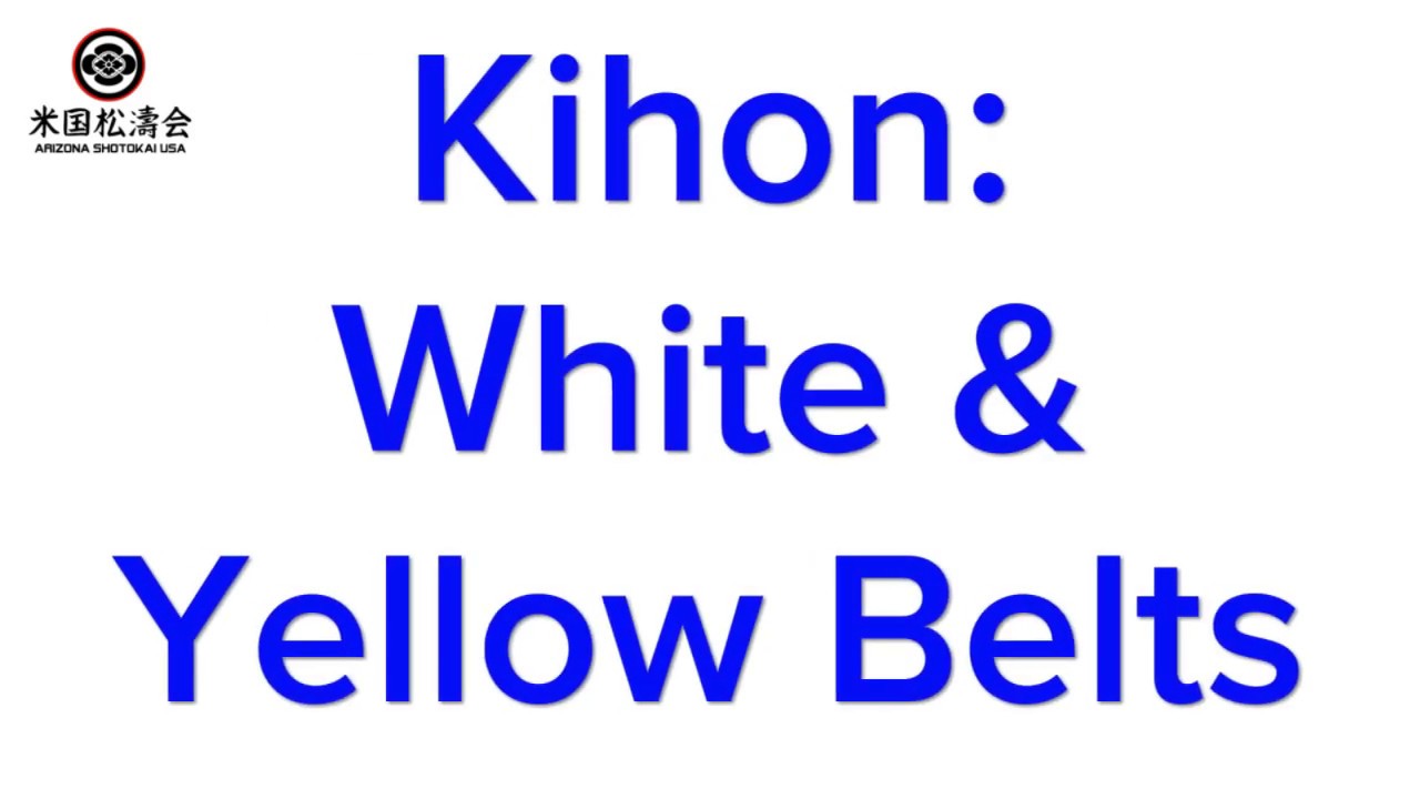 White & Yellow Belt Kihon / Karate Basics