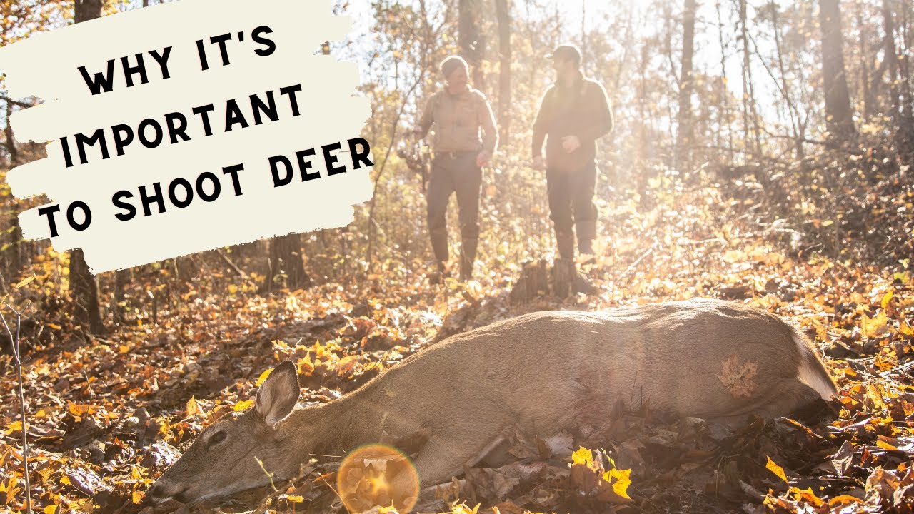 Why It's Important to Shoot Deer YouTube