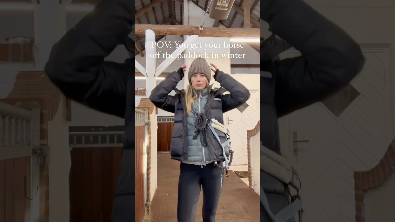 Are you ready for winter? 🥶❄️ 