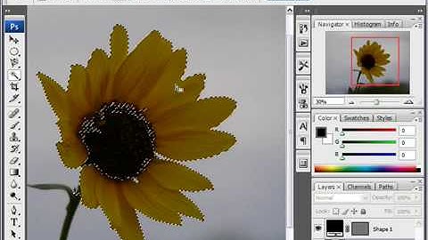 Save a Selection in Photoshop CS3