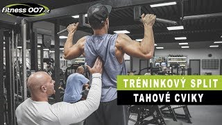 Tréninkový split B | Tahový den. Zadní ramena, záda a biceps.