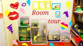 room tour комнаты, где живут хомячки