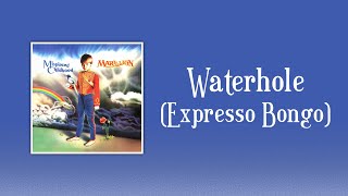 Marillion - Waterhole (Expresso Bongo) (sanoitukset)
