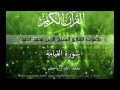 شيخ الزين محمد احمد سورة القيامه