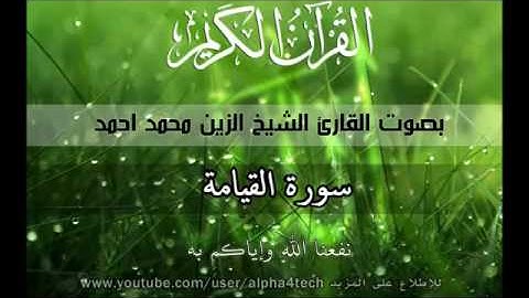 شيخ الزين محمد احمد ..سورة القيامه