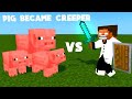 Minecraft Game - Pig Became Creeper Addon