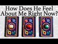💕WHAT DOES HE/SHE THINK AND FEEL ABOUT ME RIGHT NOW?💕| 🔮Pick A Card🔮 | Love Tarot Reading (Timeless)