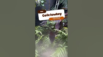 Quán cafe nhẹ nhàng yên tĩnh tại Đà Lạt #dalatcogi #dalat #sixsenagency #xuhuong #reviewdalat