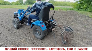 ЛУЧШИЙ СПОСОБ ПРОПОЛОТЬ КАРТОФЕЛЬ, ЕЖИ В РАБОТЕ / THE BEST WAY TO WEED POTATOES