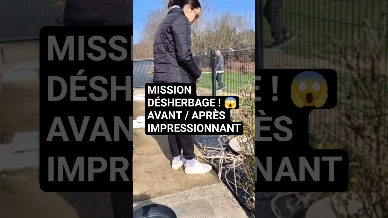 Mission désherbage : transformation totale du parterre 🌸☀️