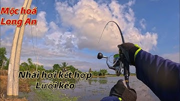 Câu cá lóc mùa nước nổi 2025 tập 4 - mới sáng tới chỗ thì trời chuẩn bị mưa 