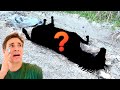 HELPLESS HORSE FOUND DEAD & ABANDONED ! WHO WOULD DO THIS ?!