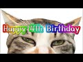 【ケツドラム猫】みなちゃん4歳記念LIVE【ケツドラム猫と同居猫+ネコケツドラマーの主】 #ネコケツドラム #猫ケツドラム