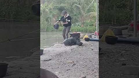 Vlogs 138 Báo cá - Hồ Câu Nguyễn Duy 0973133706 D1, Mỹ Phước, TX Bến Cát || Mần Nông Vlogs