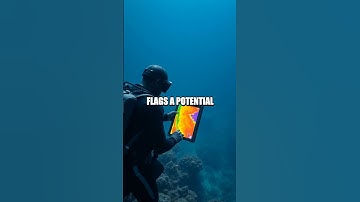 Silent Sensors: AI vs Human in Oceanic Monitoring