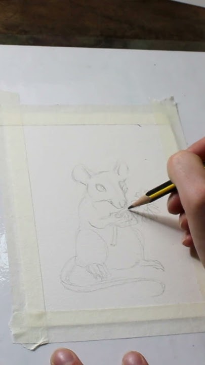 sketching-a-mouse-bad-art-sketches-speed-drawing-youtube