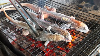 베트남 인기 음식! 도마뱀 구이와 도마뱀 미트볼 요리! / Grilled lizard and lizard meatballs / Vietnamese street food