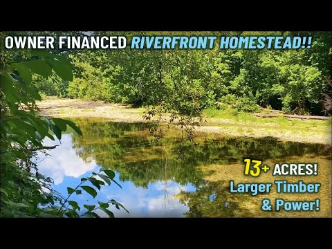 $2,500 Down - Owner Financed Riverfront Homestead! 500' frontage! 14 acres w/ BIG timber and power!