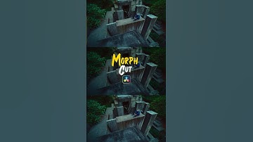 Morph cut in DaVinci Resolve