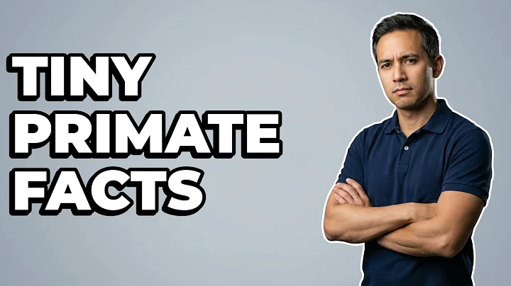 What Is A Bohol Tarsier Exactly?