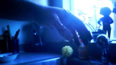 Hand vs Garbage Disposal