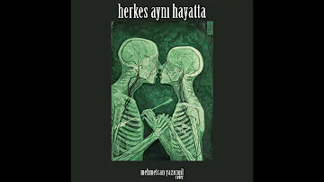 Mehmetcan Yazıcıgil - Herkes Aynı Hayatta (Mehmet Erdem Cover)