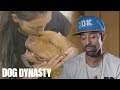 Goodbye Maia: The OG Pitbull Who Started DDK9’s | DOG DYNASTY