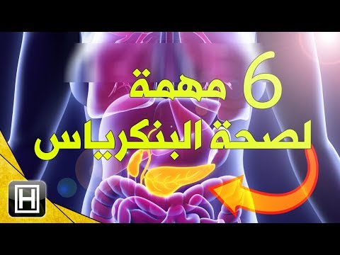 فيديو: ماذا يحتوي عصير البنكرياس؟